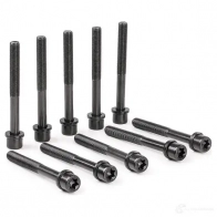 Комплект болтов ГБЦ VICTOR REINZ C BX7R1 4026634193594 95924 14-32104-01 - Изображение 3