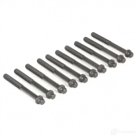 Комплект болтов ГБЦ VICTOR REINZ 95869 4026634011775 14-32040-01 U9XAV SI - Изображение 3