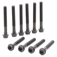 Комплект болтов ГБЦ VICTOR REINZ 95853 1IOF0 C 14-32028-02 4026634011621 - Изображение 3