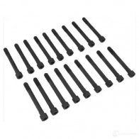 Комплект болтов ГБЦ VICTOR REINZ T5PJ8G 8 14-55015-01 4026634363706 96171 - Изображение 2