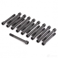 Комплект болтов ГБЦ VICTOR REINZ T5PJ8G 8 14-55015-01 4026634363706 96171 - Изображение 3