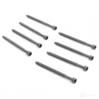 Комплект болтов ГБЦ VICTOR REINZ 4026634276402 95938 3MT4R S 14-32121-02 - Изображение 3