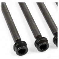 Комплект болтов ГБЦ VICTOR REINZ 14-32129-02 4026634268766 WE253 8G 95948 - Изображение 3