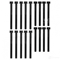 Комплект болтов ГБЦ VICTOR REINZ 14-10021-01 Audi 4026635155706 6Y5SE R0