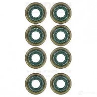 Маслосъемные колпачки VICTOR REINZ 12-27236-01 4026634427910 Opel Frontera (A) 1 1991 – 1998 5I QC0J2