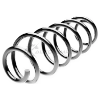 Пружина подвески задняя STANDARD SPRINGS 1441296961 0U 5KC9 ST102005R