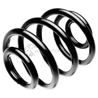 Пружина подвески задняя STANDARD SPRINGS 1441297083 ST104040R S1PQ O6