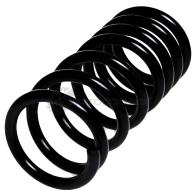 Пружина подвески задняя STANDARD SPRINGS TU 6SF 1441297512 ST110007R