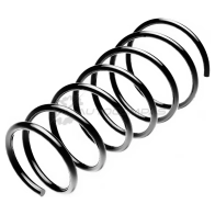Пружина подвески задняя STANDARD SPRINGS 1441297571 FK 4QQI ST110030R