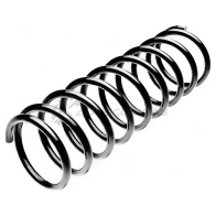 Пружина подвески задняя STANDARD SPRINGS 1441297674 QPQJ 7 ST111007R