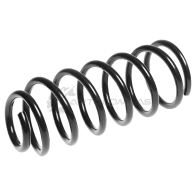 Пружина подвески задняя STANDARD SPRINGS ST111010R Z C6N3NT 1441297675