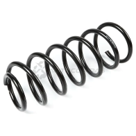 Пружина подвески задняя STANDARD SPRINGS N89U YS 1441297762 ST112073R
