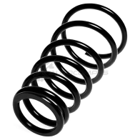 Пружина подвески задняя STANDARD SPRINGS ZKYGLE 3 ST118001R 1441298020
