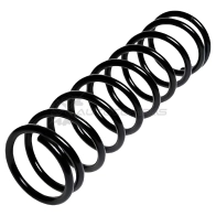 Пружина подвески задняя STANDARD SPRINGS RO 0X3 ST119032R 1441298115