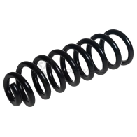 Пружина подвески задняя STANDARD SPRINGS 1441298174 WS6 36WC ST120091R