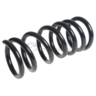 Пружина подвески задняя STANDARD SPRINGS SG41Y W 1441298239 ST122044R