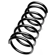 Пружина подвески задняя STANDARD SPRINGS 1441298375 0S 8IPJ ST123037R