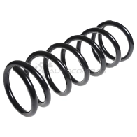 Пружина подвески задняя STANDARD SPRINGS 1441298378 ST123060R PBDQ 2OY