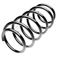 Пружина подвески передняя STANDARD SPRINGS 1441298452 K PCZTPY ST124661F
