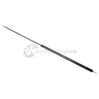 Амортизатор багажника STANDARD SPRINGS 1441298722 3XPA BBU STG2373