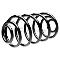 Пружина подвески задняя STANDARD SPRINGS WF EH76 1441298764 ST117020R