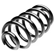 Пружина подвески задняя STANDARD SPRINGS 1441298765 ST117021R CXIP Q