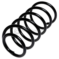 Пружина подвески передняя STANDARD SPRINGS 1441298806 ST129013F 1SKQU 9