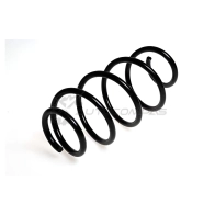 Пружина подвески передняя STANDARD SPRINGS J6304 DL 1441299116 ST134049F