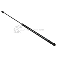 Амортизатор багажника STANDARD SPRINGS Z1 FL2 STG2312 1441299221