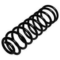 Пружина подвески задняя STANDARD SPRINGS 1441299230 TCGVIP 6 ST135008R