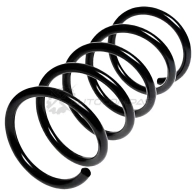 Пружина подвески задняя STANDARD SPRINGS 1441299316 ST135029R ANI SI