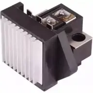 Щетки генератора, с регулятором POWERMAX L6U8D L NILX7 1420431917 81111340