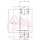 Подшипник ASVA 6 QWLASP 1420447066 AB122808