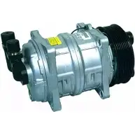 Компрессор кондиционера AUTOCLIMA E1W 2BT 1420450644 KPXP96G 40430026