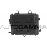 Радиатор охлаждения двигателя AUTOGAMMA 1420453789 5ID Q6G QV48KJH 107943
