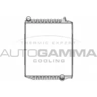 Радиатор охлаждения двигателя AUTOGAMMA VOV6 X 2V9GK 1420453878 405562