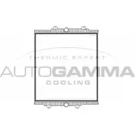 Радиатор охлаждения двигателя AUTOGAMMA 8I E6T 1420453880 B1RWG 405572