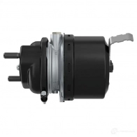 Подпружиненный цилиндр WABCO L1 ICLPO 247759 9254860100 - Изображение 1