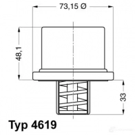 Термостат WAHLER E RSBHP 4619.80 4029783004346 865558 - Изображение 2