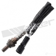 Лямбда зонд, кислородный датчик WALKER PRODUCTS Ford Fiesta 4 (DX, JA, JB) Хэтчбек 1.2 5 i 16V 75 л.с. 1995 – 2002 I2HFZ 8 25024858