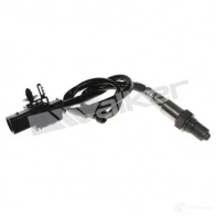 Лямбда зонд, кислородный датчик WALKER PRODUCTS 25025078 Skoda Octavia (A5, 1Z3) 2 Хэтчбек 2.0 FSI 150 л.с. 2004 – 2008 OEM QC9