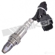 Лямбда зонд, кислородный датчик WALKER PRODUCTS Honda Accord 8 (CW) Универсал 2.4 i (CW2) 201 л.с. 2008 – 2025 25054038 8SJE K