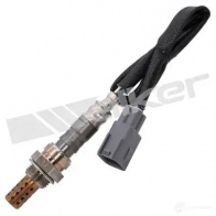 Лямбда зонд, кислородный датчик WALKER PRODUCTS 3C REO Lexus SC (Z40) 2 Кабриолет 25024225