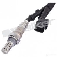 Лямбда зонд, кислородный датчик WALKER PRODUCTS Honda Accord 8 (CU, CW, TF) 2007 – 2012 25024786 1 ZI10