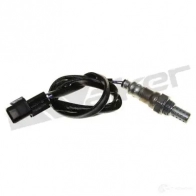 Лямбда зонд, кислородный датчик WALKER PRODUCTS 25024780 Kia Picanto 8Z9E 0TG