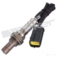 Лямбда зонд, кислородный датчик WALKER PRODUCTS 25024771 Nissan Note (E11) 1 2005 – 2012 0ZA603- N8 KFG4CH