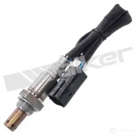 Лямбда зонд, кислородный датчик WALKER PRODUCTS N3ZI F 25054036 Renault Laguna (DT) 3 Купе 3.5 V6 (DT0P) 238 л.с. 2008 – 2015