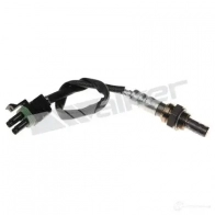 Лямбда зонд, кислородный датчик WALKER PRODUCTS 250241082 Renault Megane 1 (BA, JA, EA, DA, LA) 1995 – 2002 4OSD8 9E