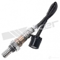 Лямбда зонд, кислородный датчик WALKER PRODUCTS ZC5 CZ3G Honda Accord 8 (CW) Универсал 2.4 i (CW2) 201 л.с. 2008 – 2025 25024833