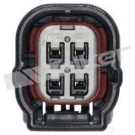 Лямбда зонд, кислородный датчик WALKER PRODUCTS ZC5 CZ3G 1423577030 25024833 - Изображение 3